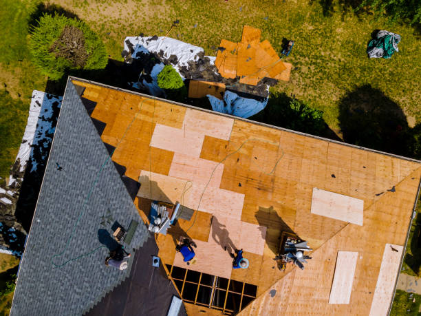Best Residential Roofing Contractor  in Cape Coral, FL